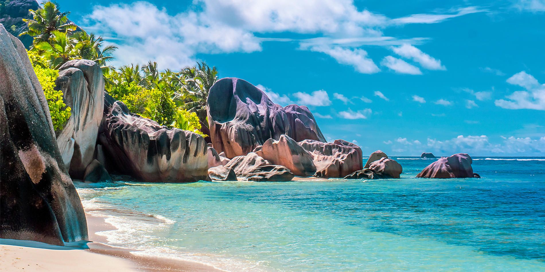 Zanzibar Aldabra the treasures of the Indian Ocean